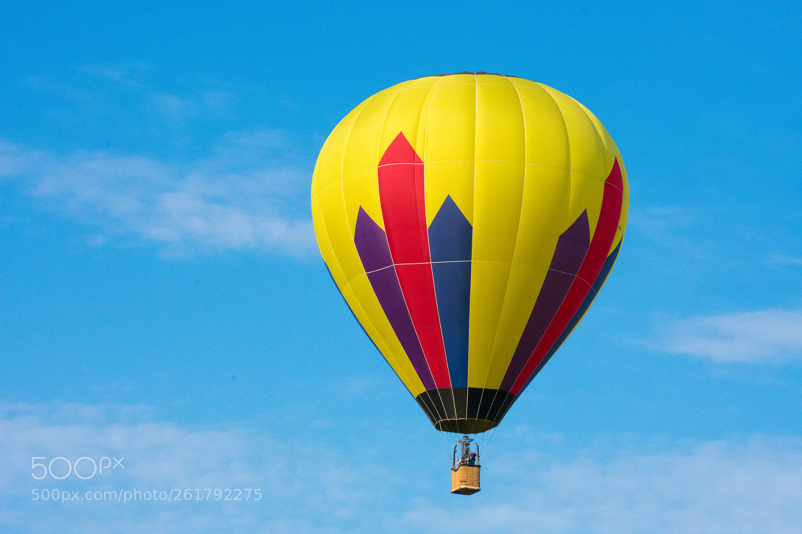 Nikon D3400 sample photo. Fly me away photography