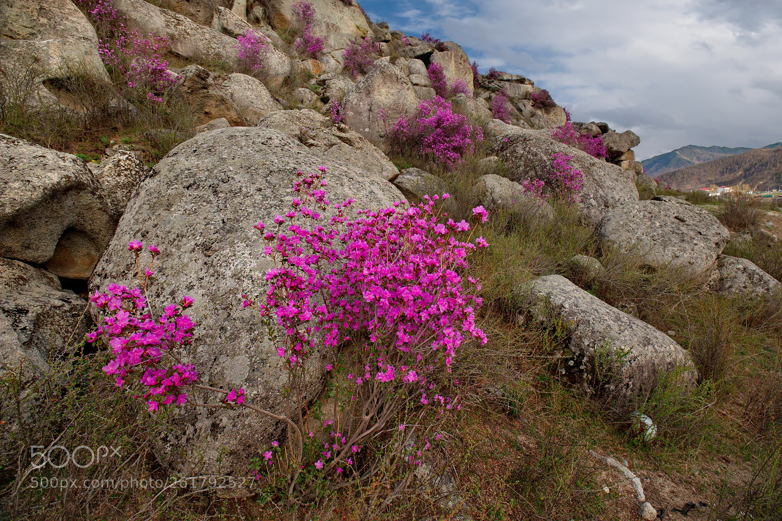 Fujifilm X-T1 sample photo. Russia. the south of photography