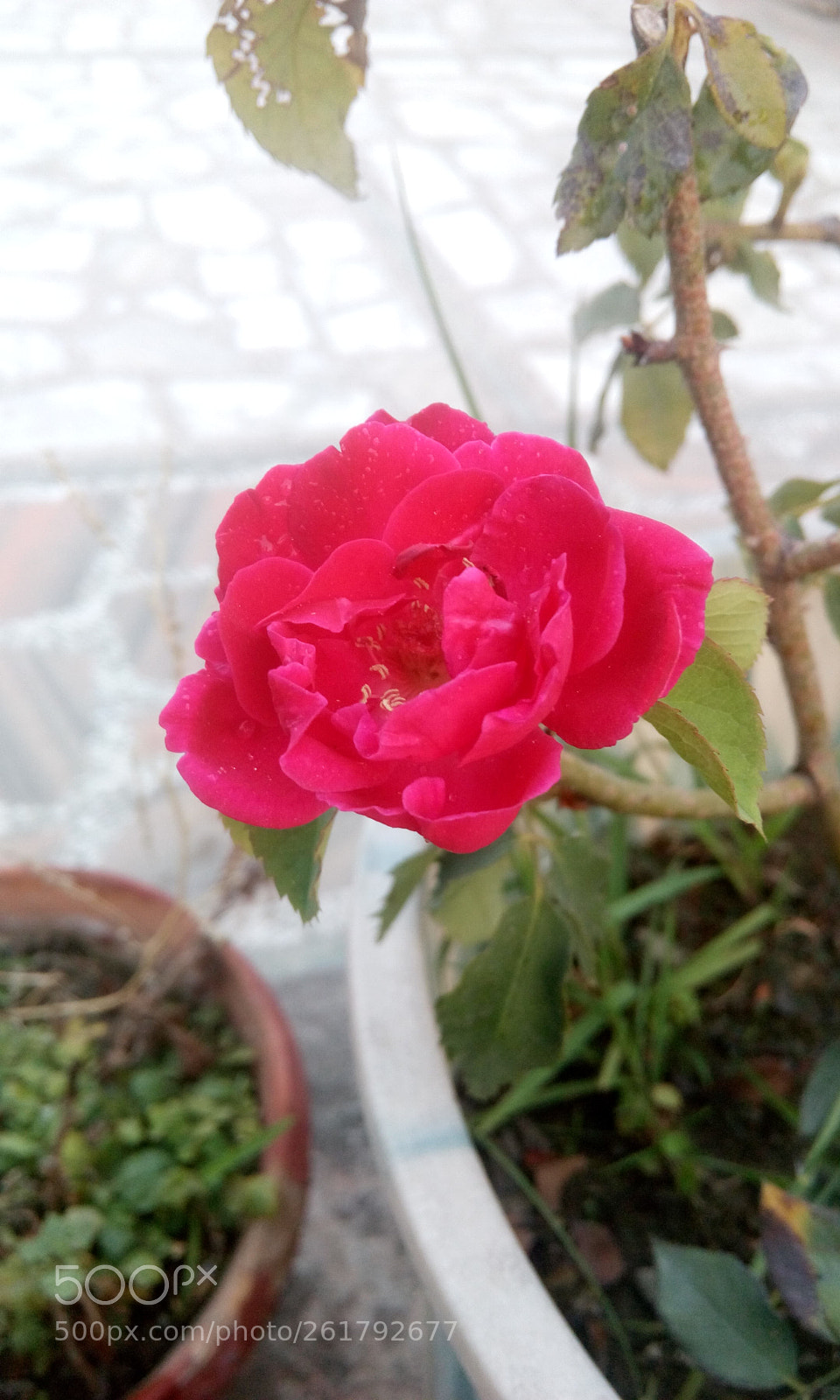 HTC DESIRE 816G DUAL SIM sample photo. Img_20180516_183626.jpg photography