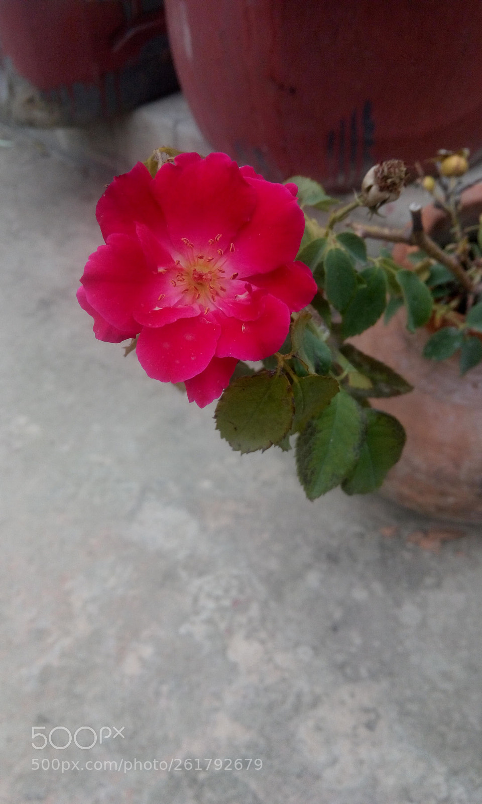 HTC DESIRE 816G DUAL SIM sample photo. Img_20180508_084353.jpg photography