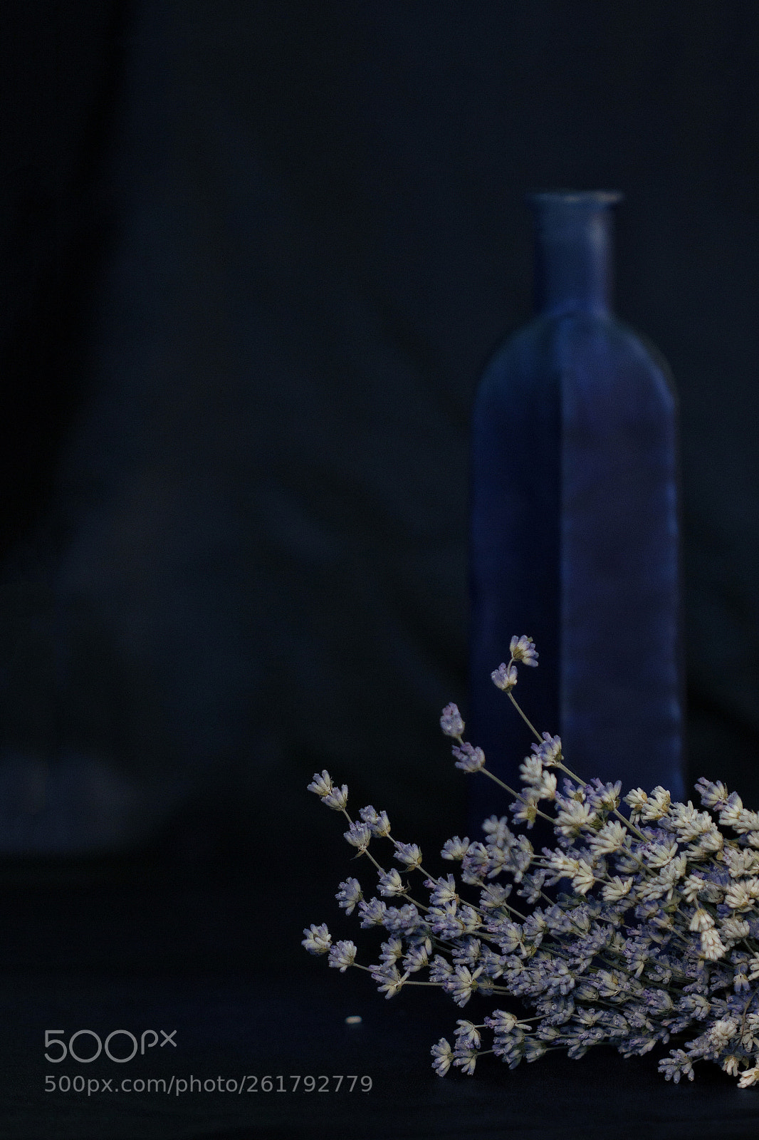 Canon EOS 60D sample photo. Essences photography