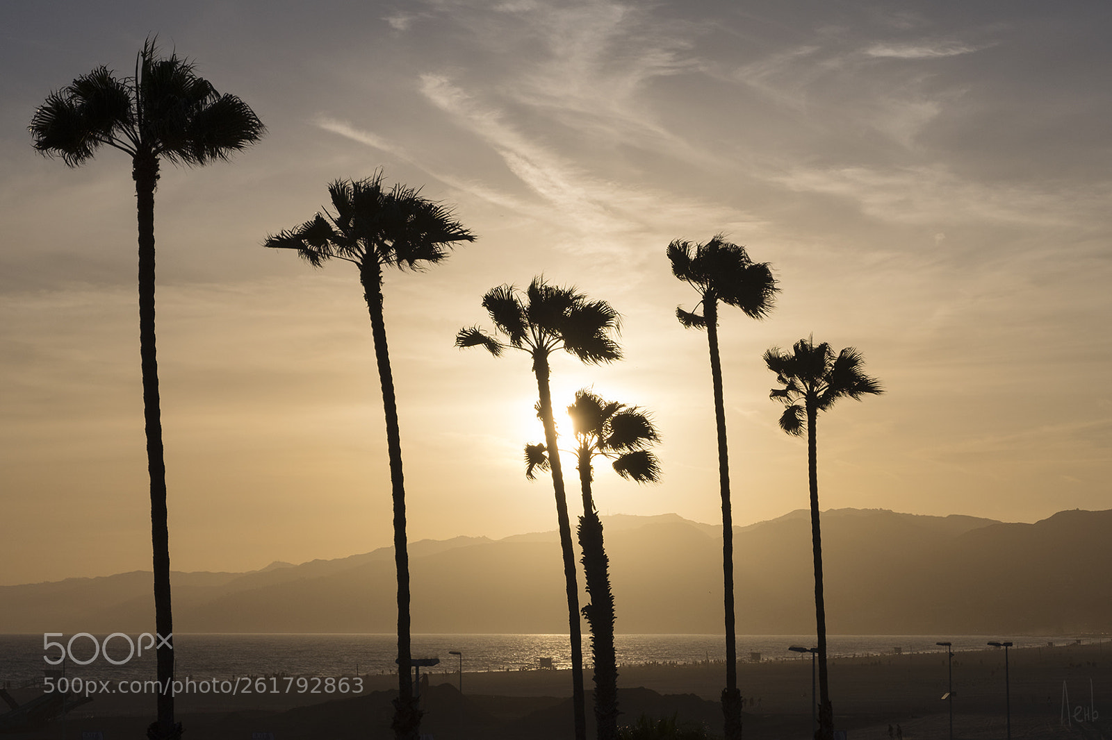 Fujifilm X-T20 sample photo. Palms photography