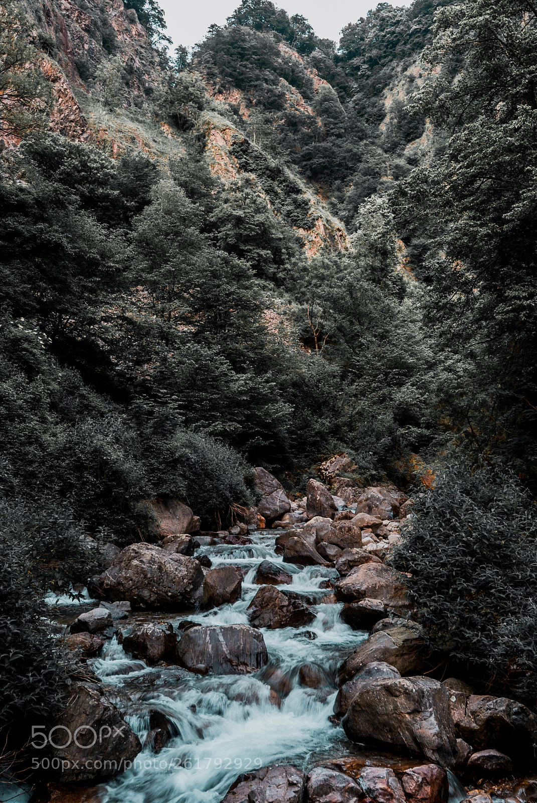 Nikon D3000 sample photo. Sometimes you have to photography