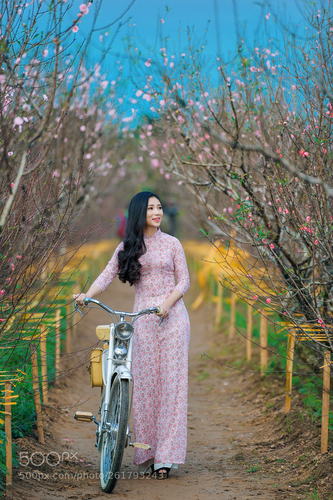 Nikon D850 sample photo. Ao dai photography