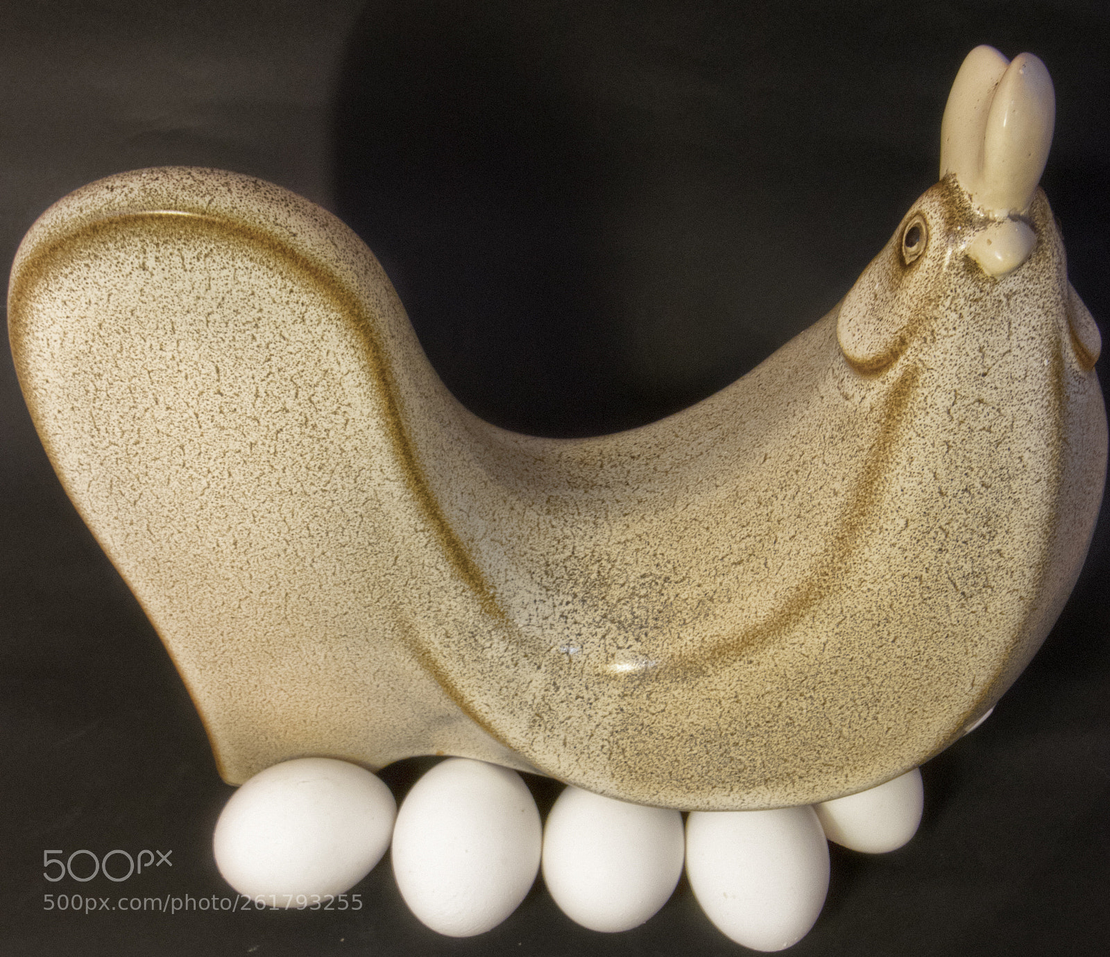 Canon EOS 77D (EOS 9000D / EOS 770D) sample photo. Gallina photography