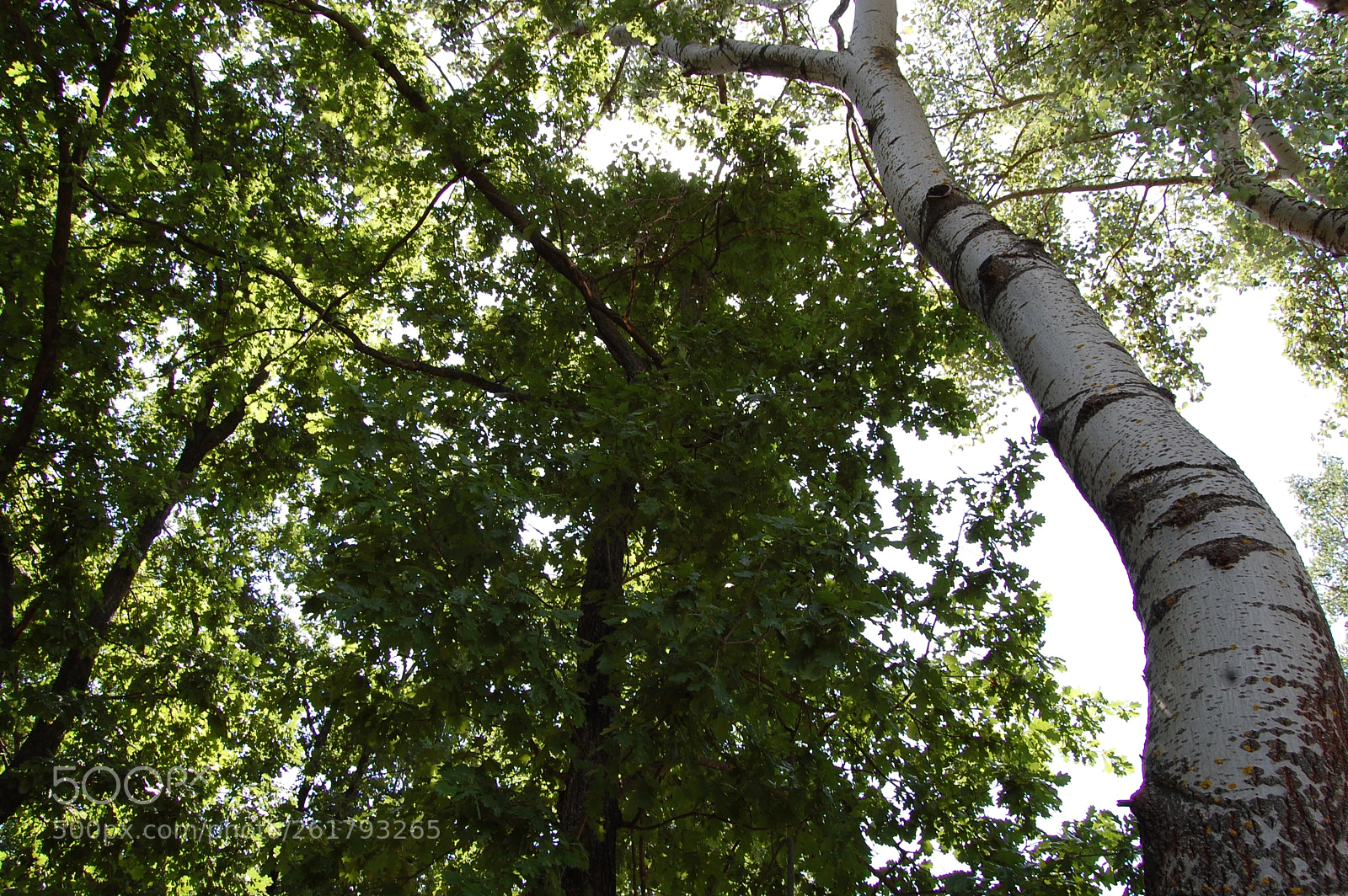 Nikon D40 sample photo. Untitled photography