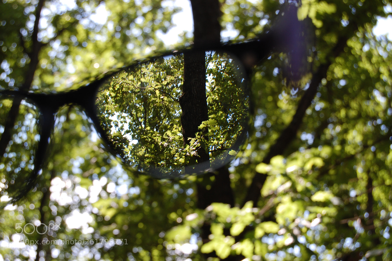 Nikon D40 sample photo. Untitled photography