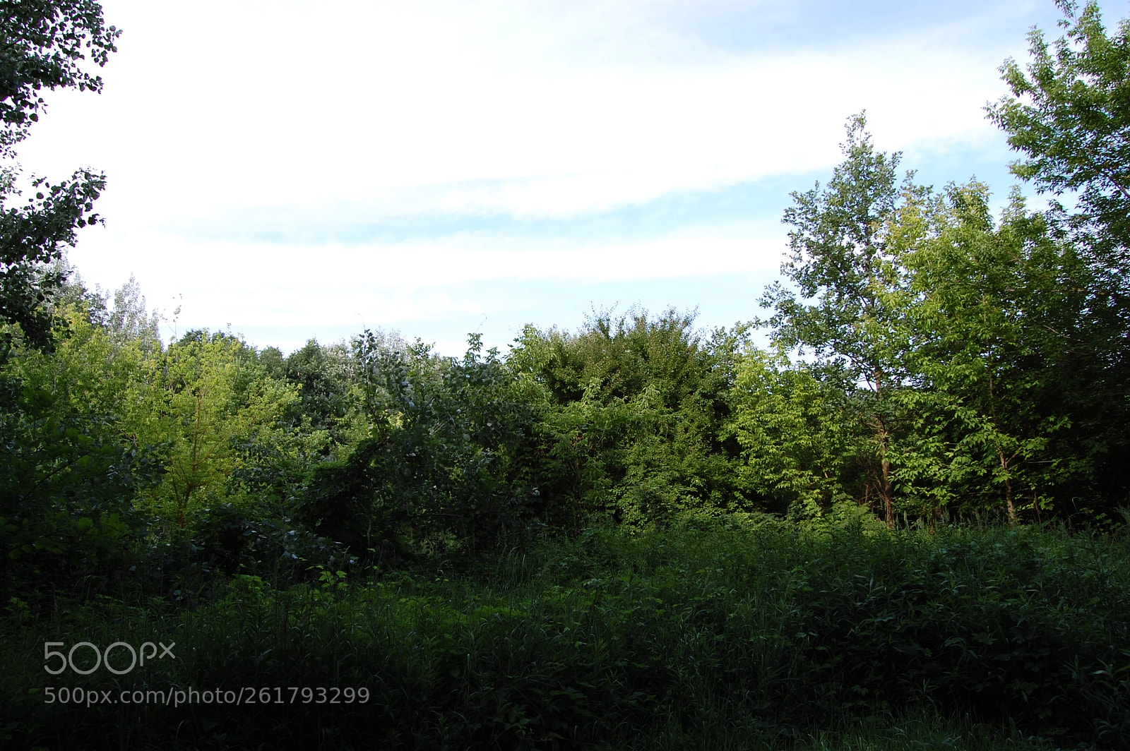 Nikon D40 sample photo. Untitled photography