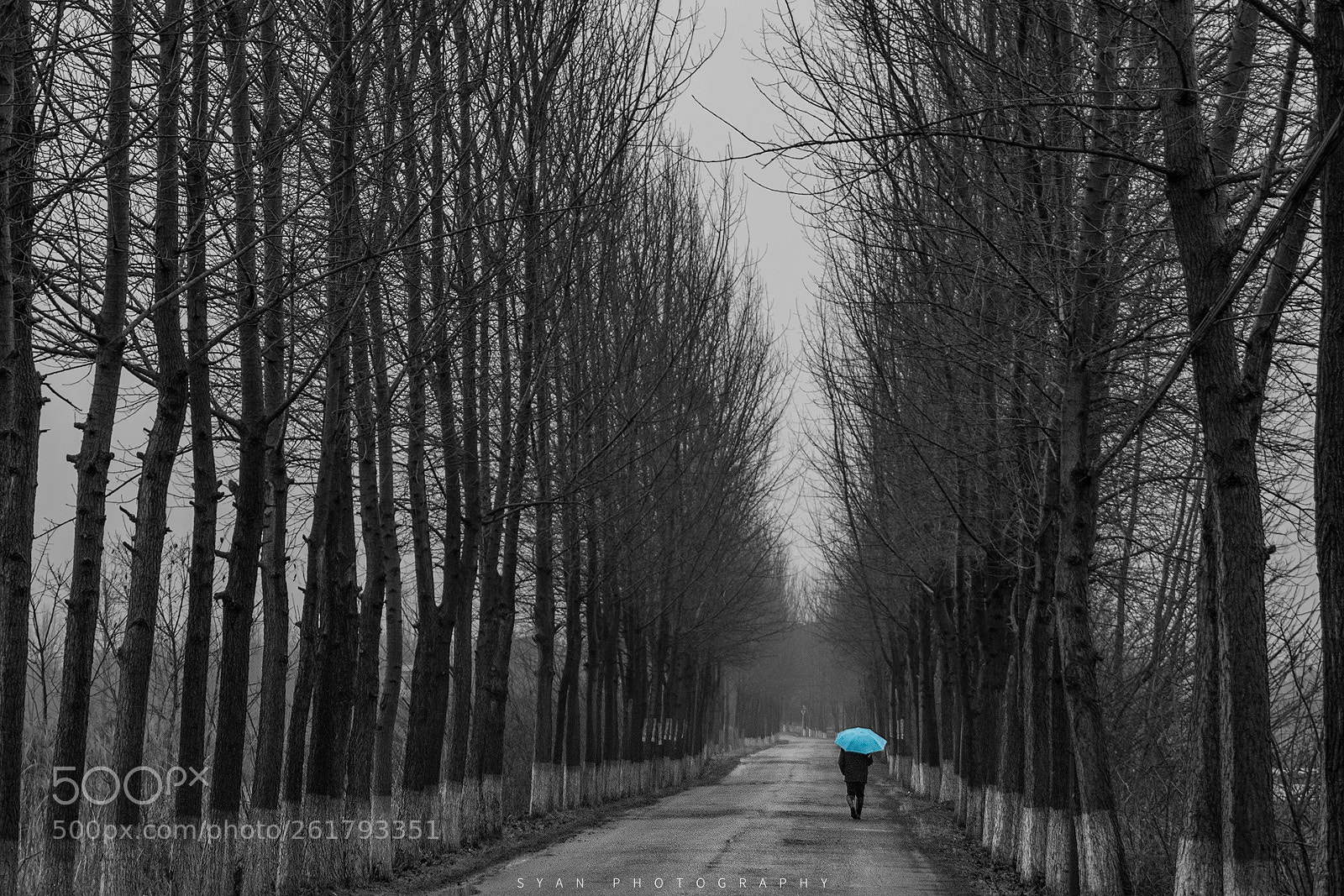 Nikon D5500 sample photo. Alone photography