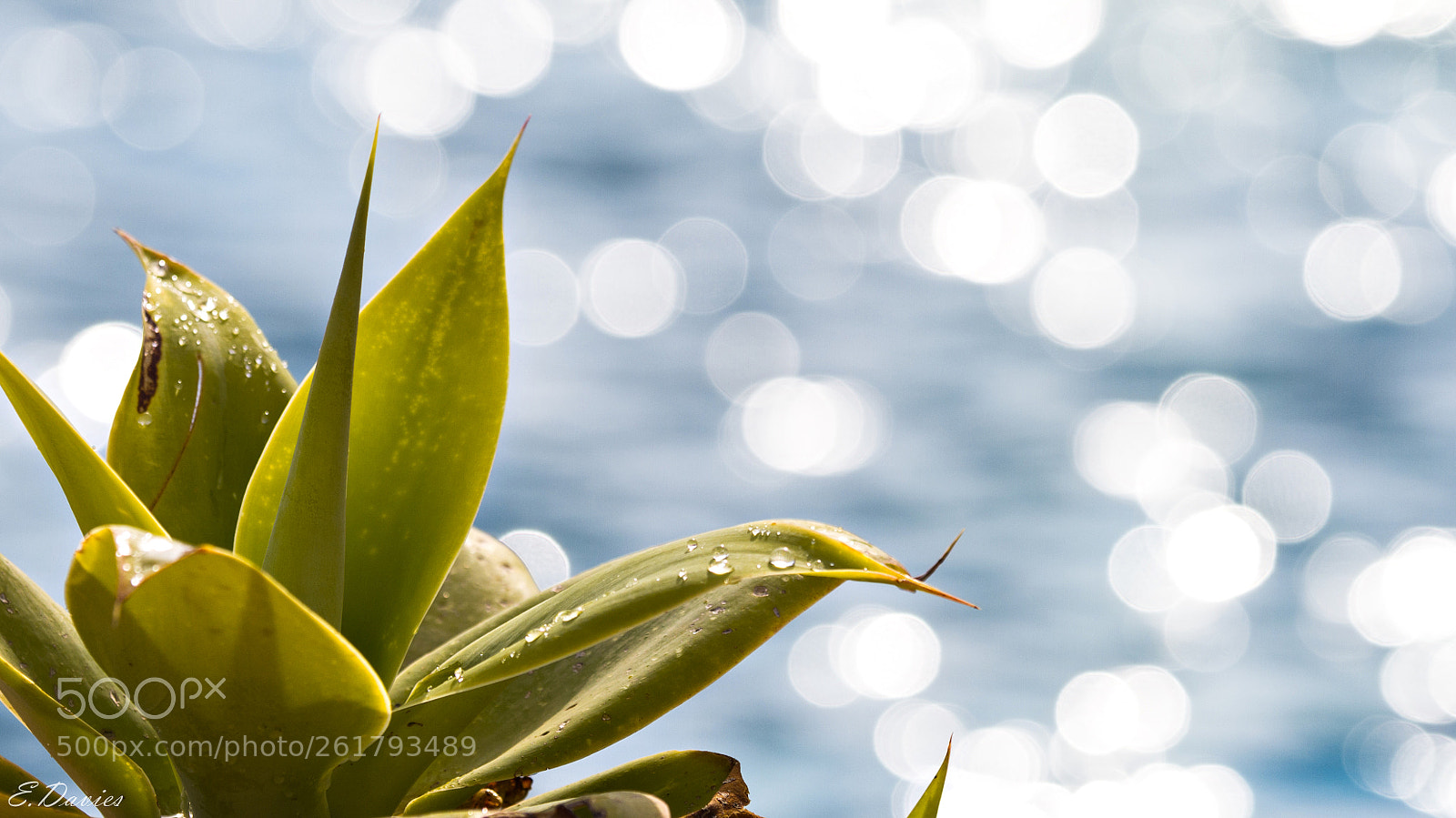 Canon EOS 7D sample photo. Boheh pool photography