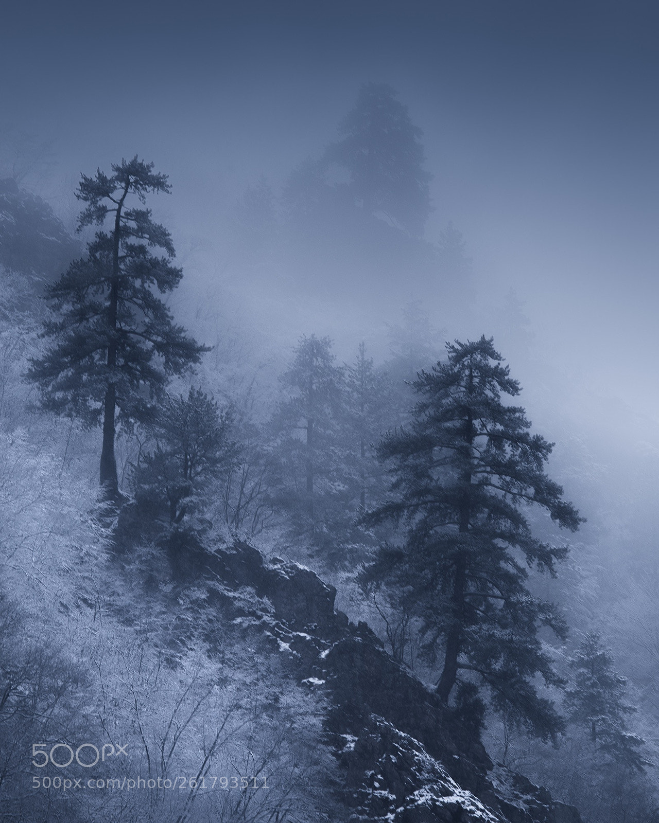 Canon EOS 6D sample photo. Misty land photography