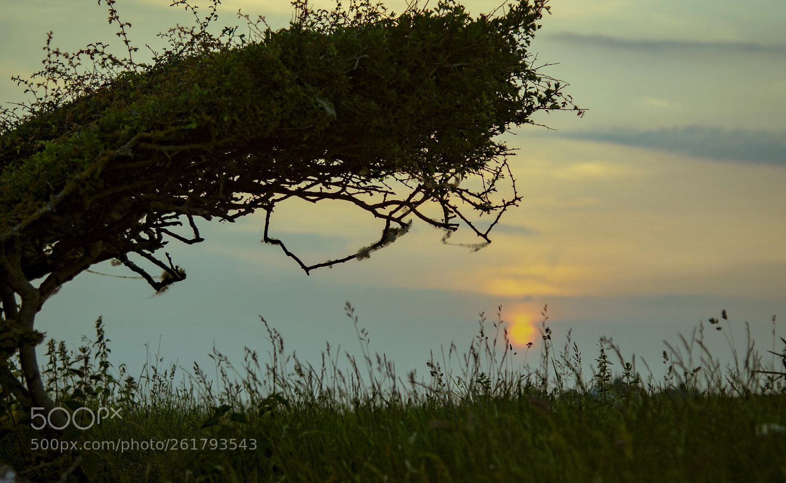 Nikon D7200 sample photo. Setting sun photography
