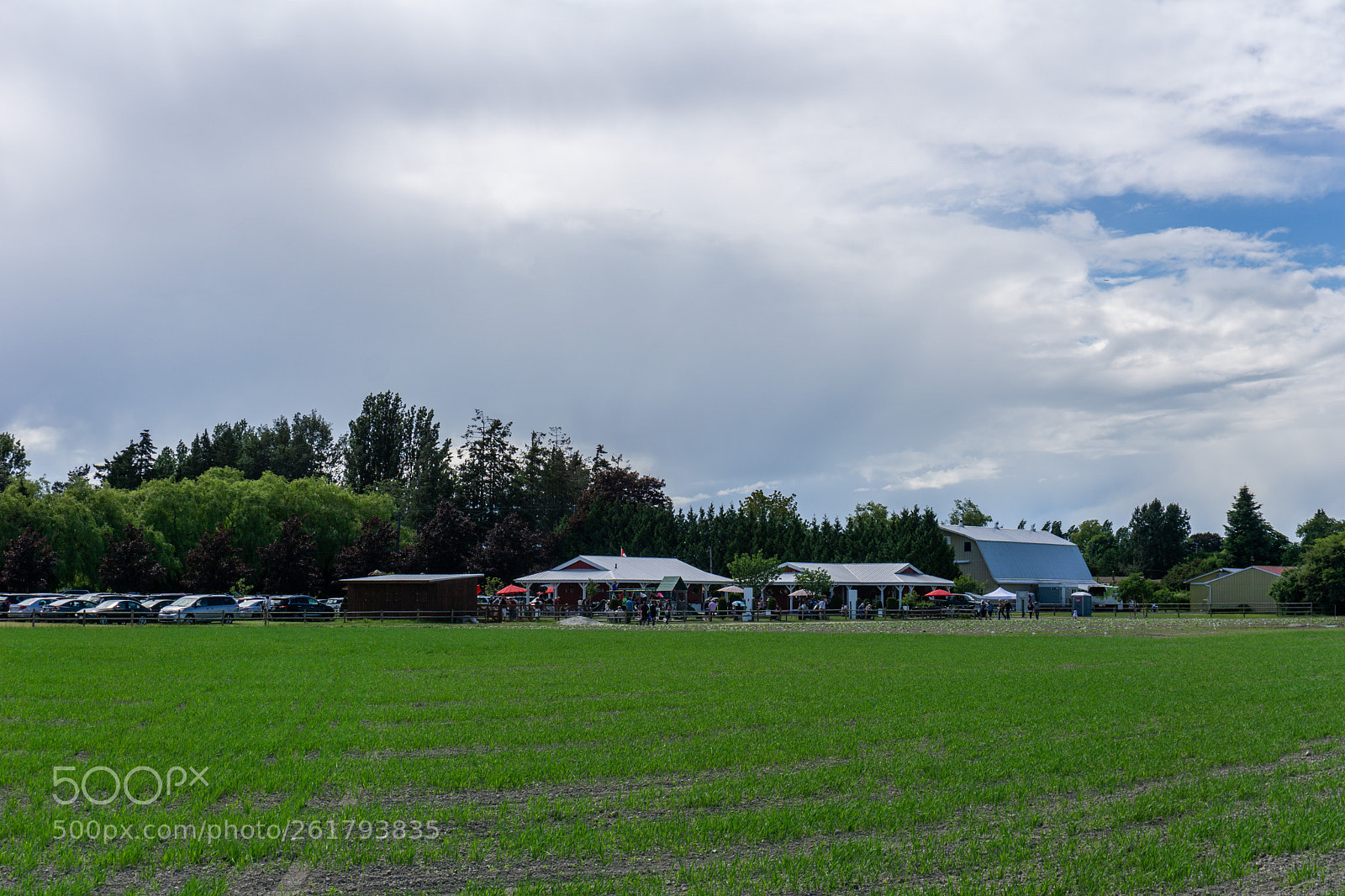 Sony a6000 sample photo. Emma lea farms photography
