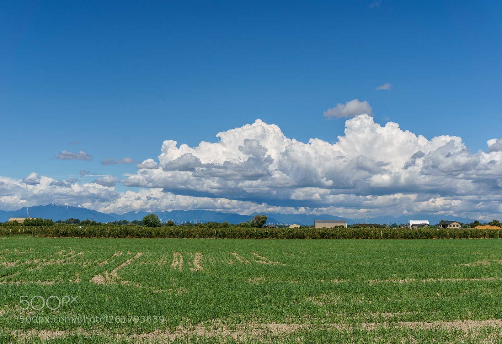 Sony a6000 sample photo. Farm photography