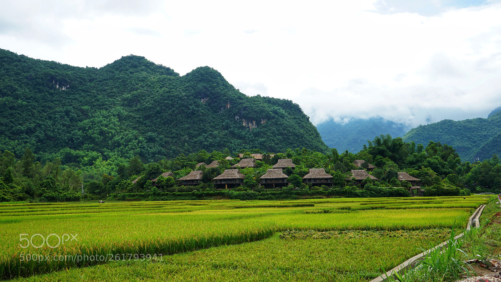 Sony a7 II sample photo. Mai châu photography