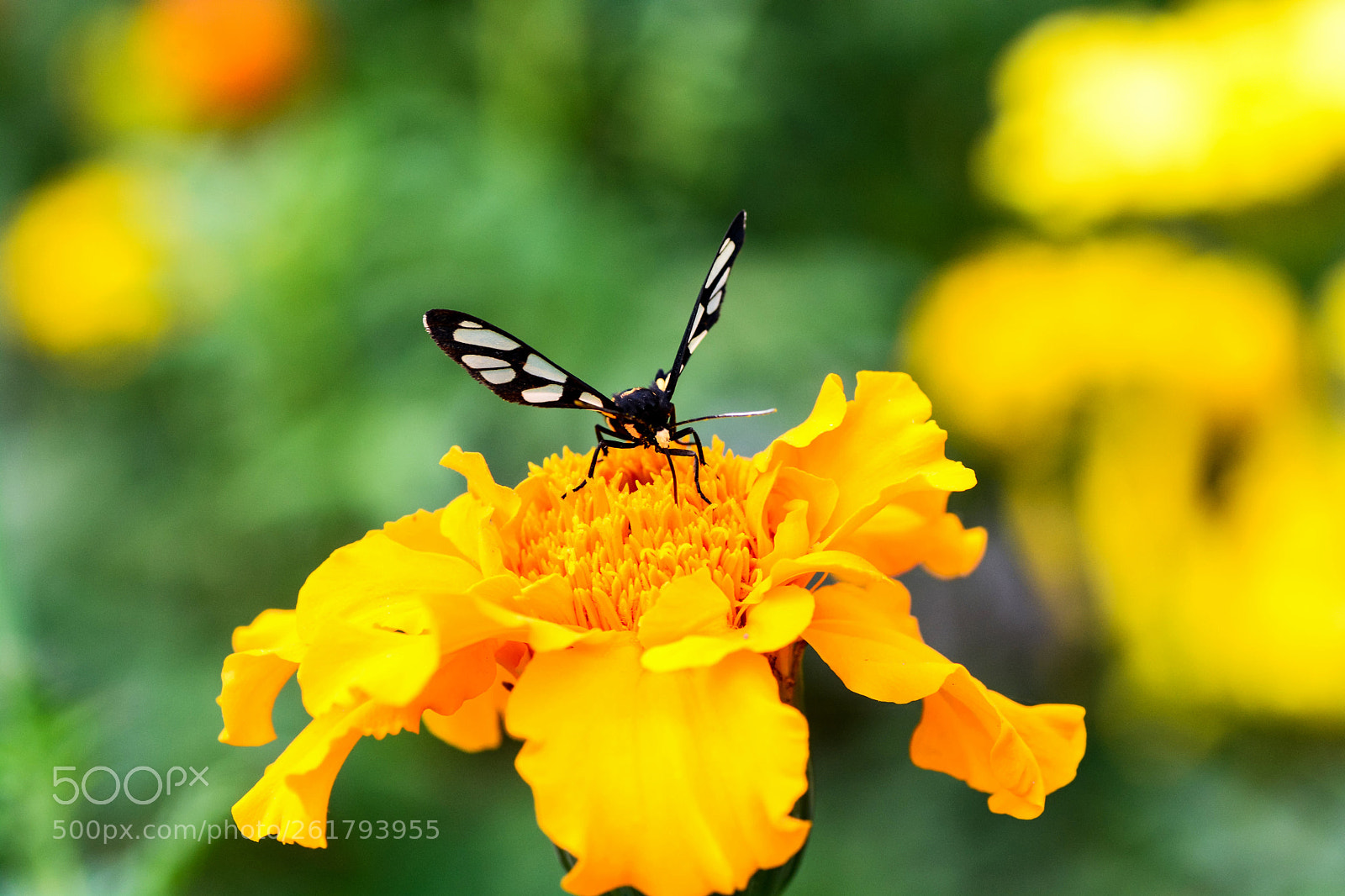Nikon D7100 sample photo. Untitled photography
