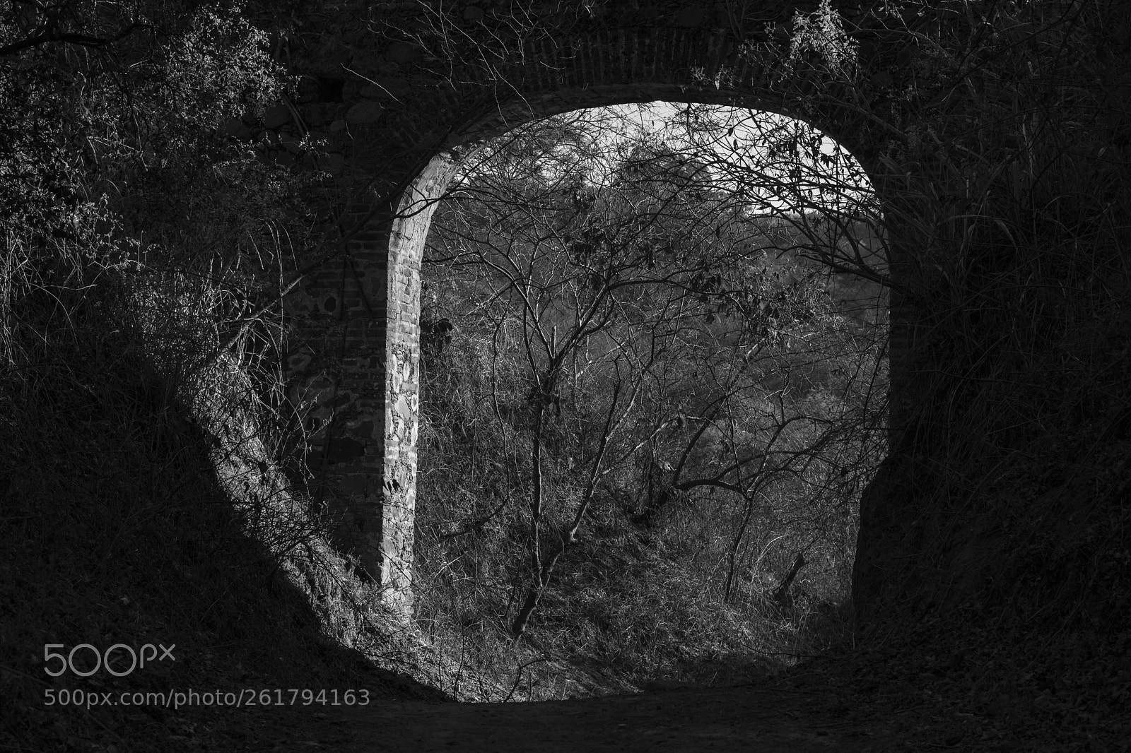 Nikon D7100 sample photo. Light and shadow. photography