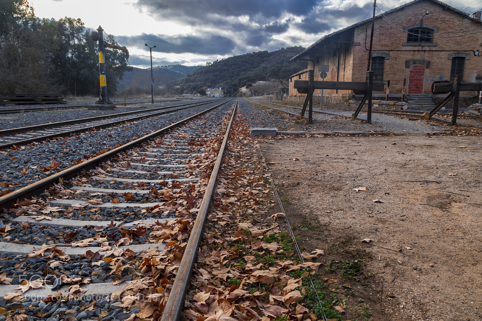 Canon EOS 80D sample photo. Life is a train photography