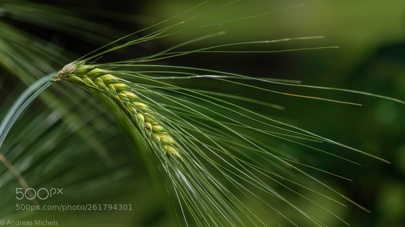 Nikon D850 sample photo. . photography