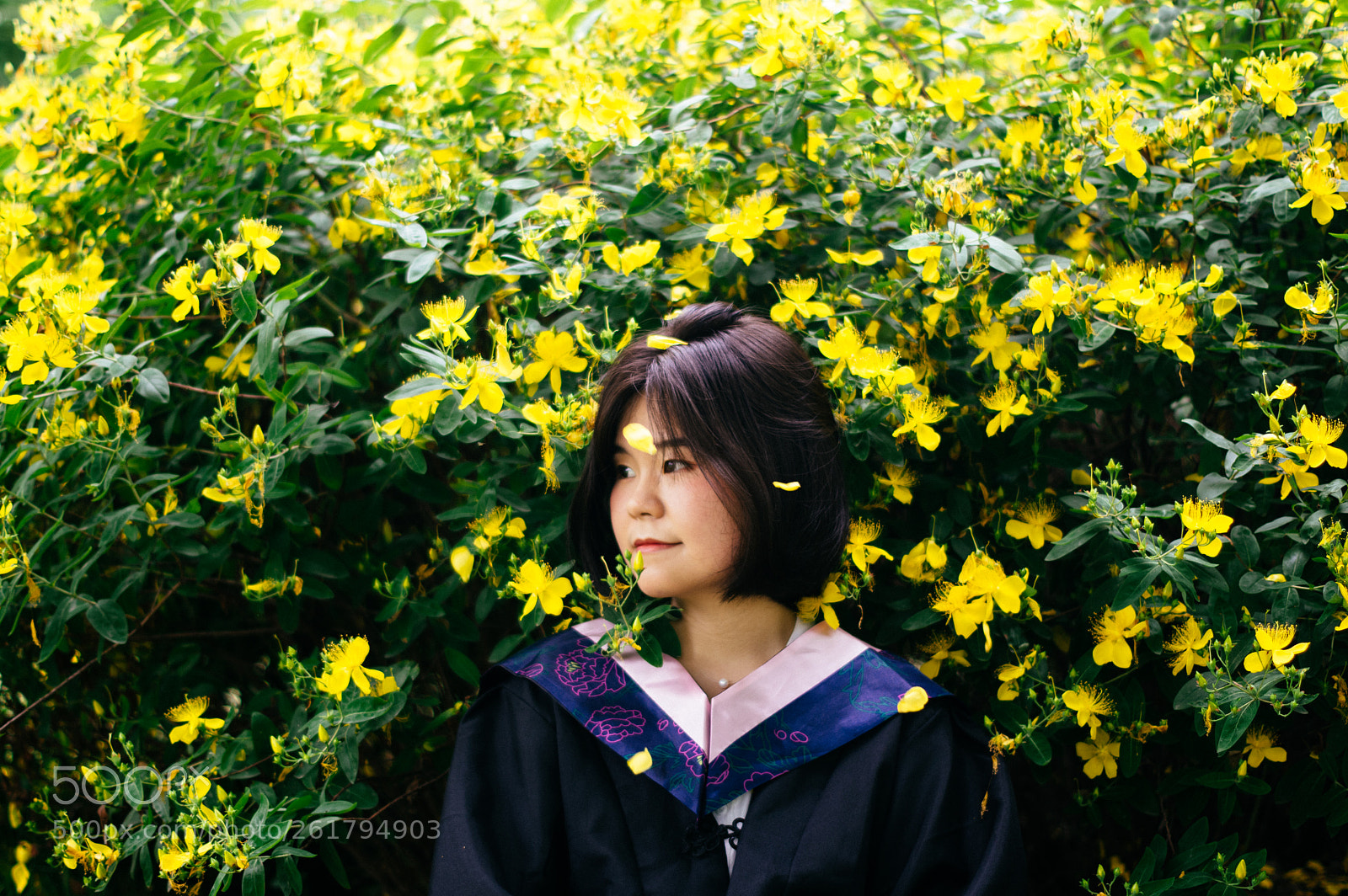 Pentax K-3 II sample photo. Untitled photography