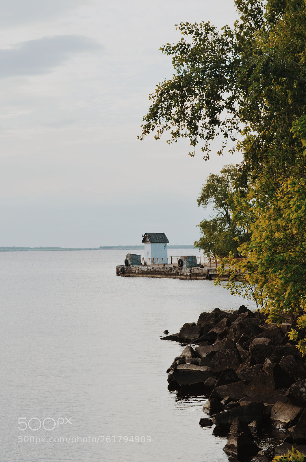 Nikon D5100 sample photo. Untitled photography
