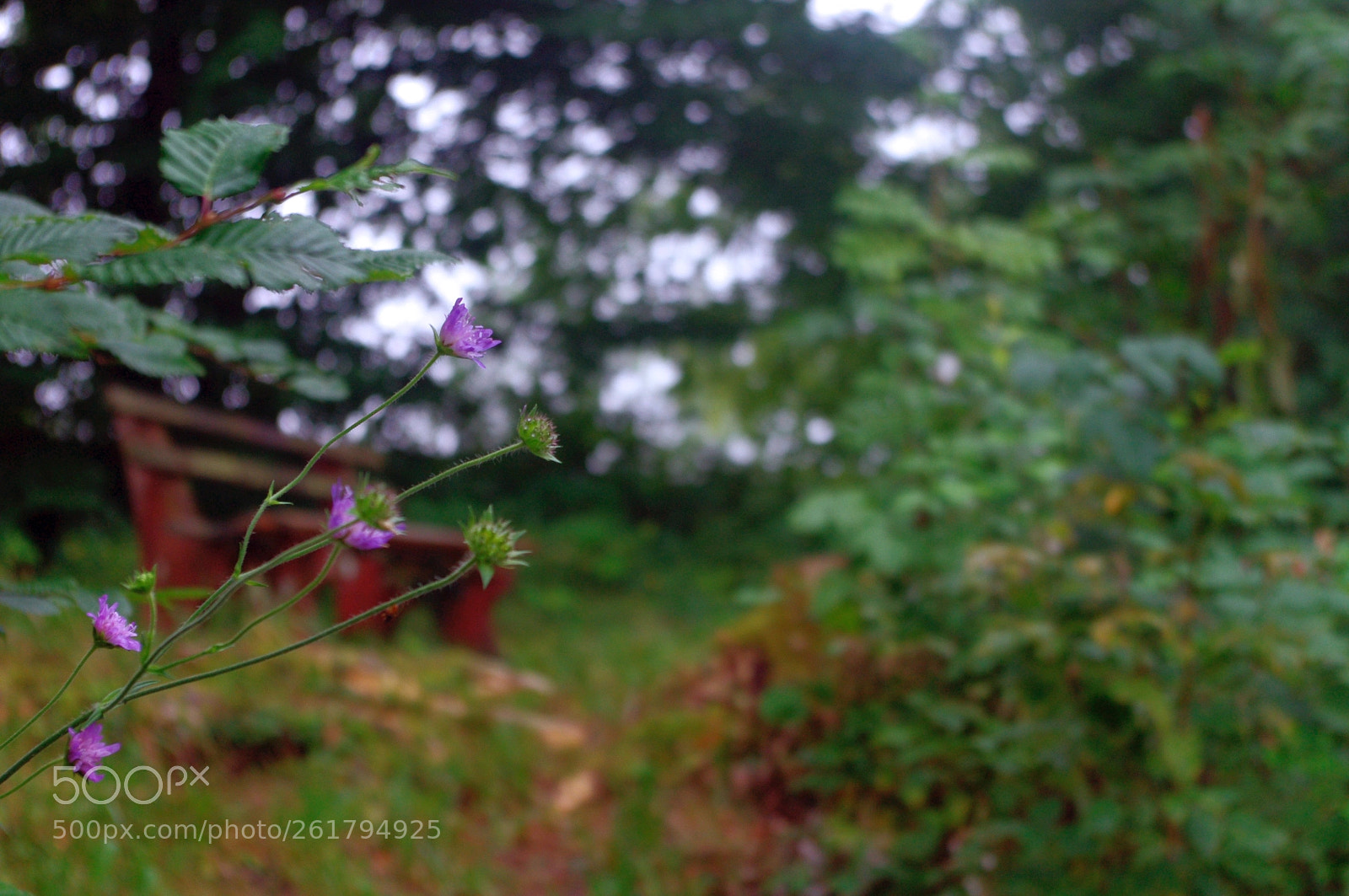 Pentax K-x sample photo. A place to rest photography
