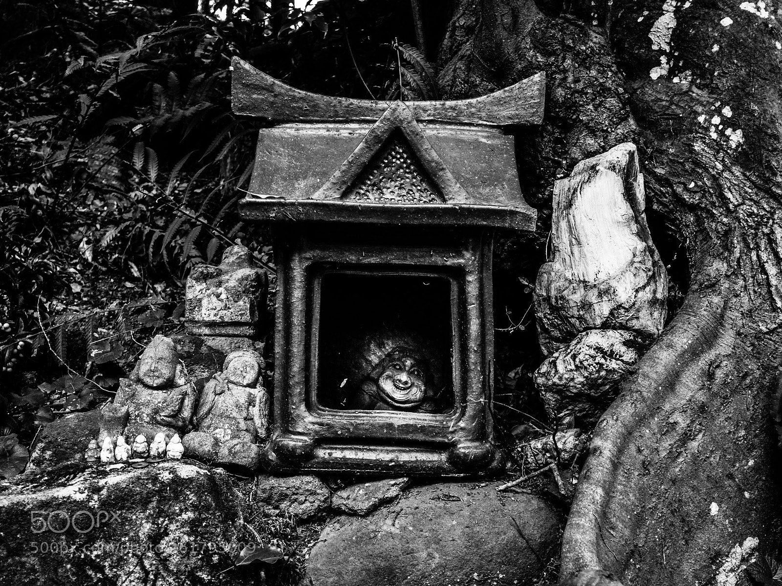 Olympus PEN E-PL6 sample photo. Noli me tangere photography