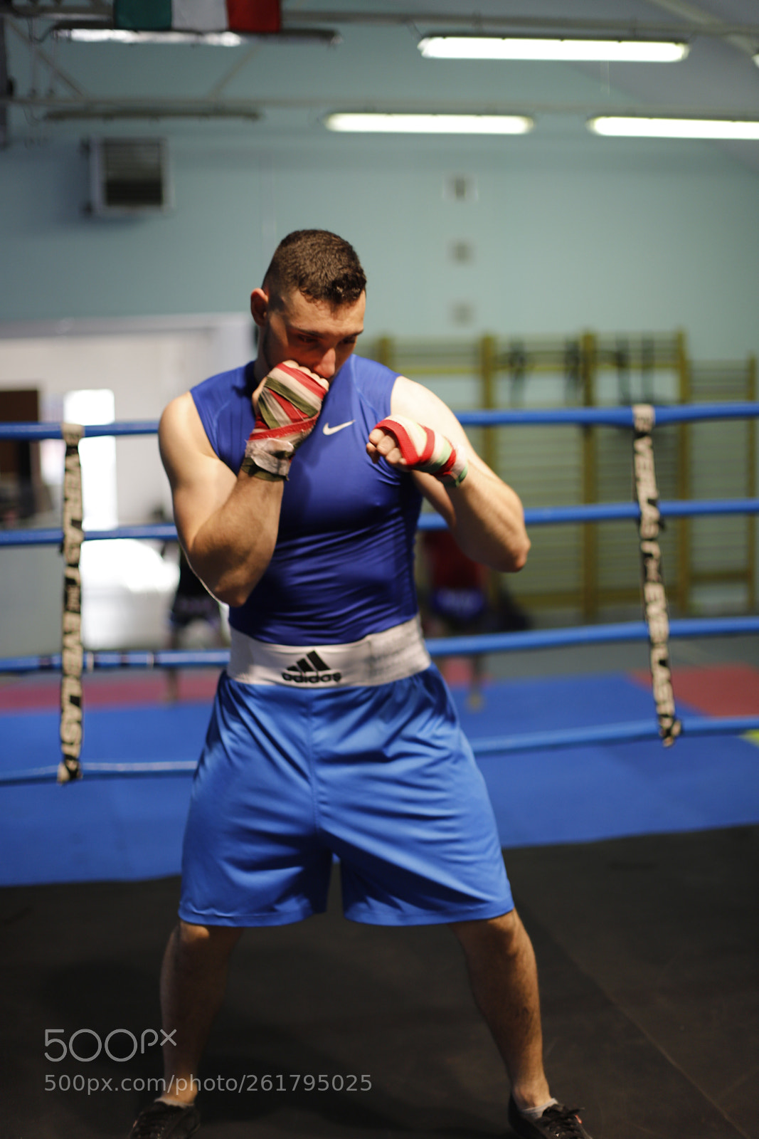 Canon EOS 6D Mark II sample photo. Boxing practise photography