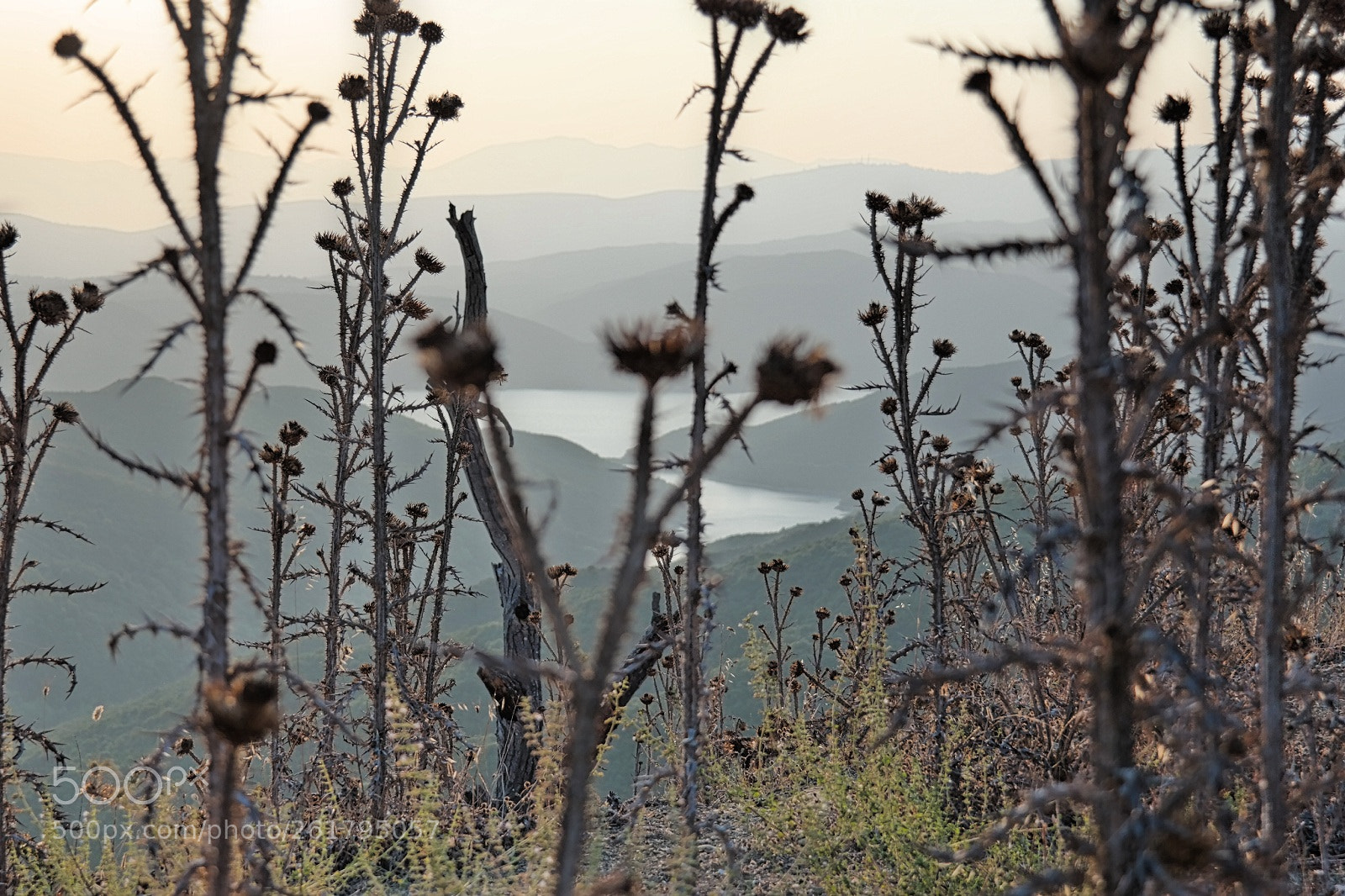 Samsung NX300 sample photo. Summer image. photography