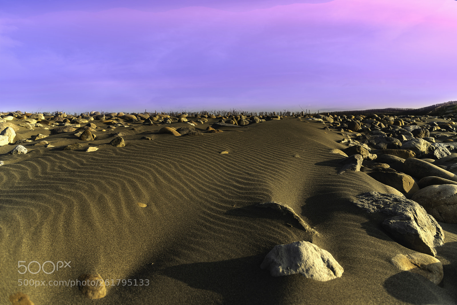 Nikon D750 sample photo. Sand dunes rocks photography