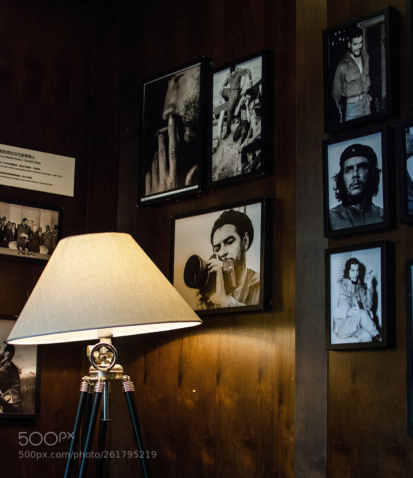Nikon D80 sample photo. Untitled photography