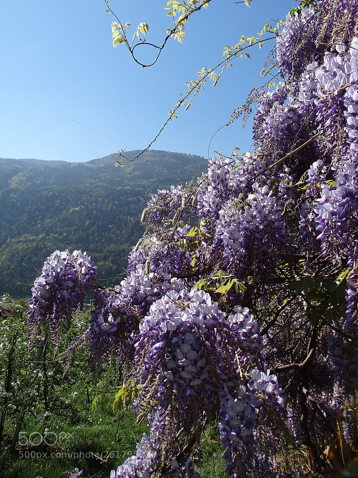 Sony DSC-HX200V sample photo. Im s dtirol im photography