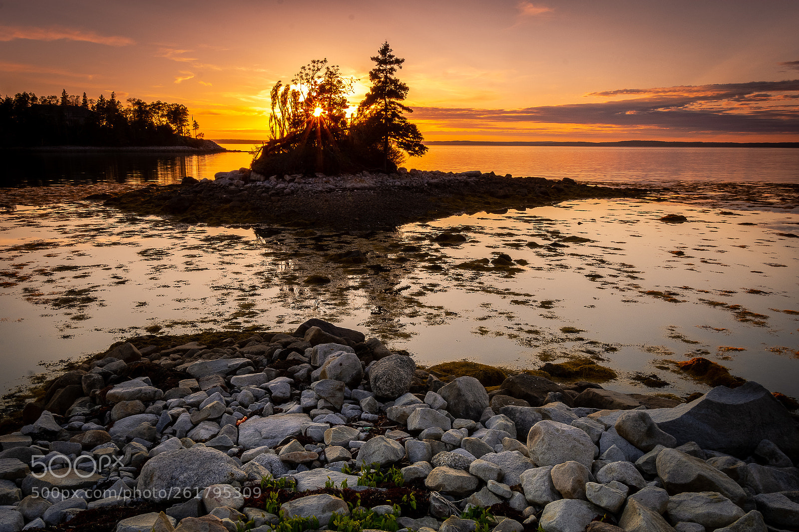 Nikon D7200 sample photo. Peggy's cove, ns photography