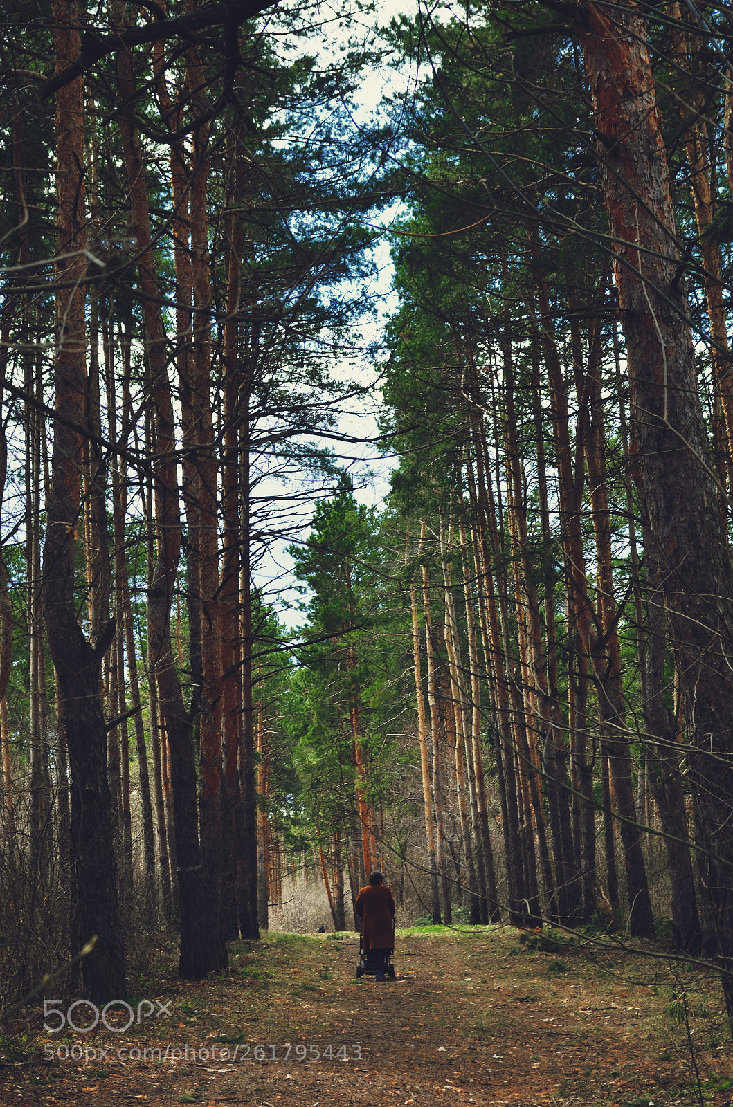 Nikon D5100 sample photo. Untitled photography