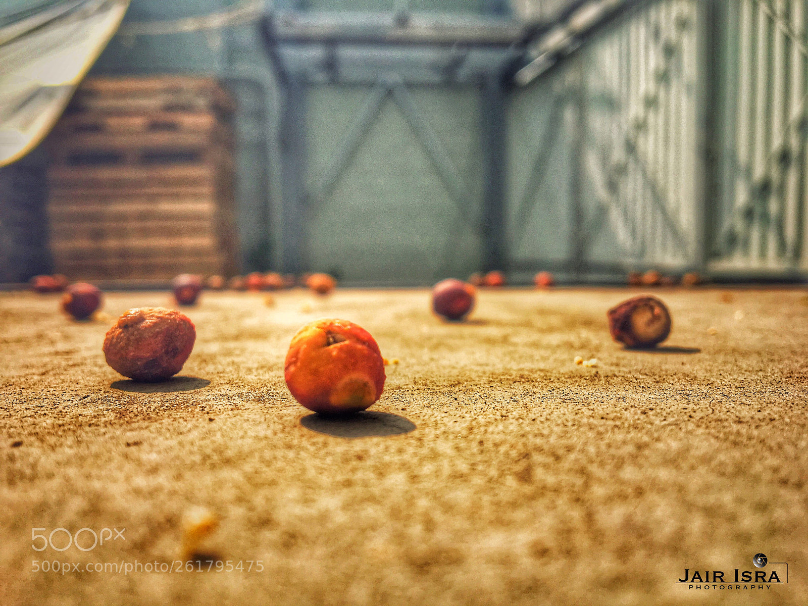 Apple iPhone 6s sample photo. Untitled photography