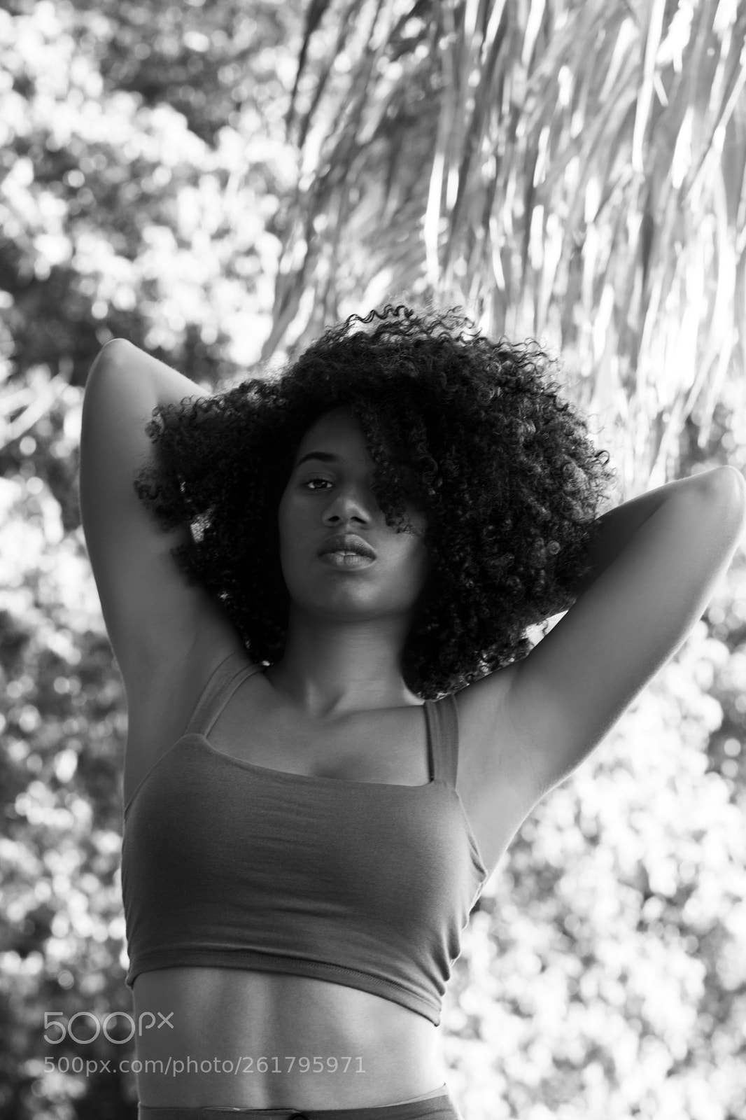 Canon EOS 80D sample photo. Katy photography