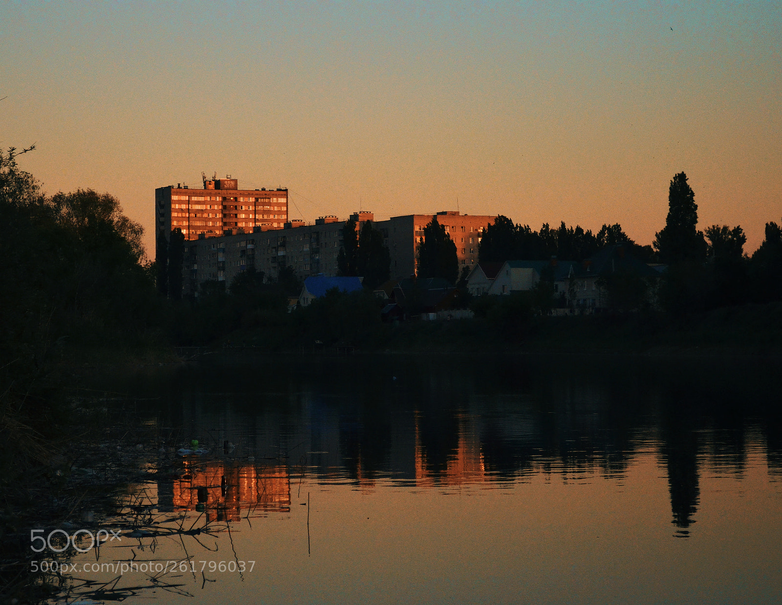 Nikon D5100 sample photo. Untitled photography