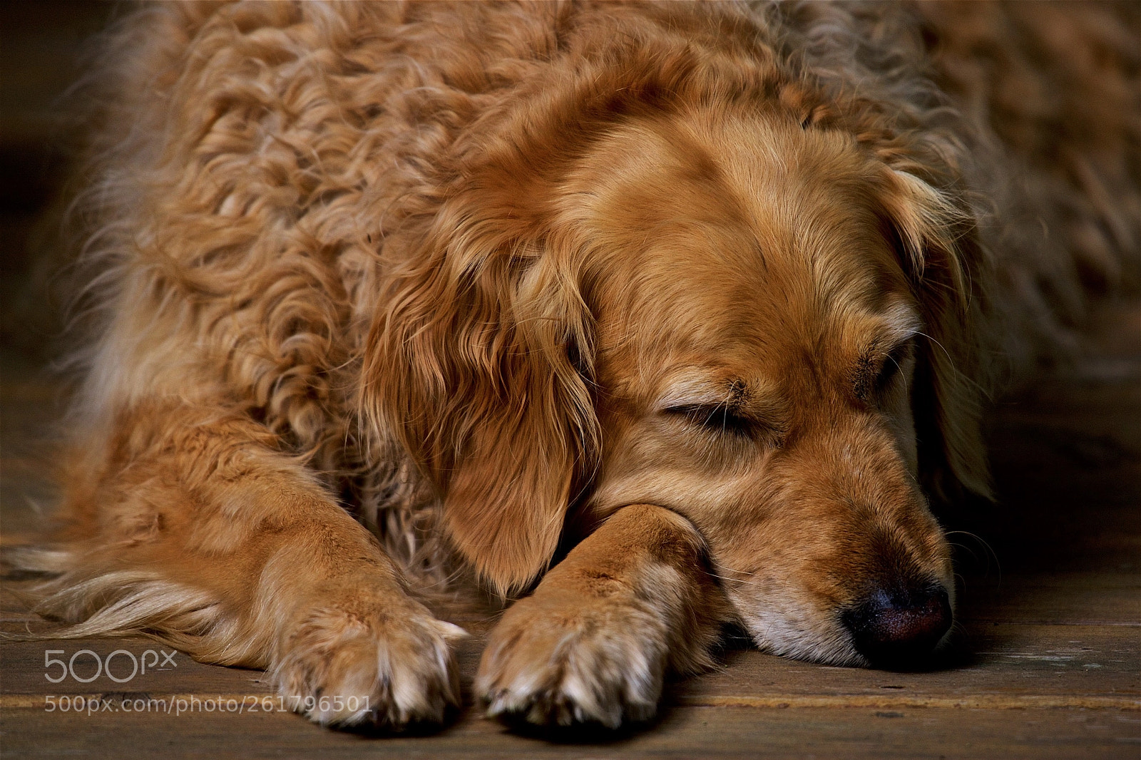 Nikon D600 sample photo. Time out photography