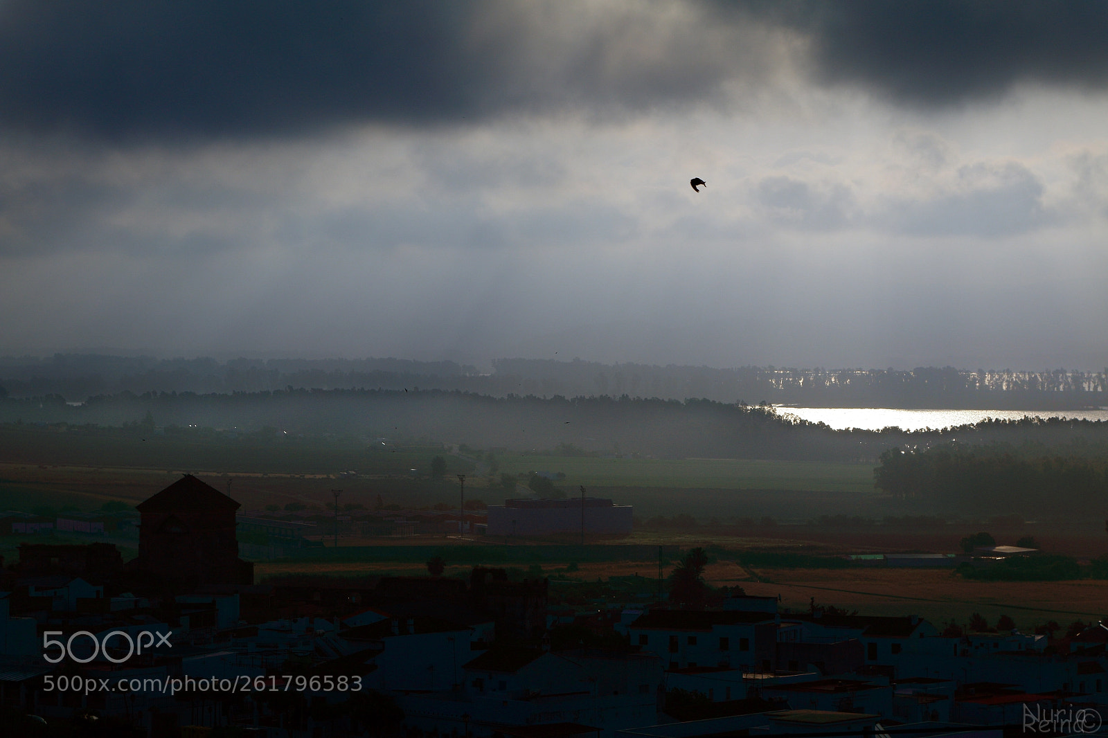 Canon EOS 70D sample photo. Landscape in the fog photography