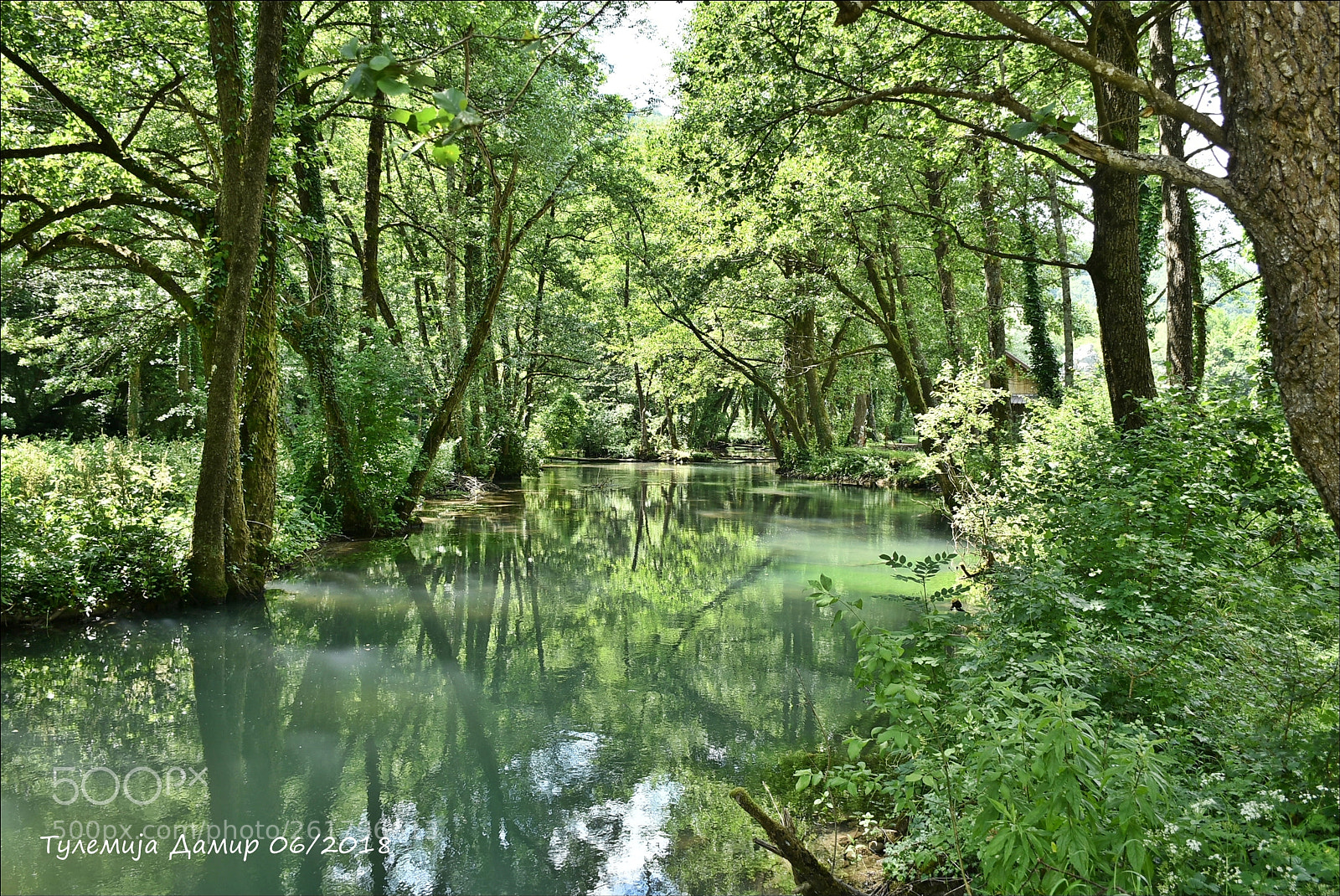 Nikon D7200 sample photo. Rijeka janj photography