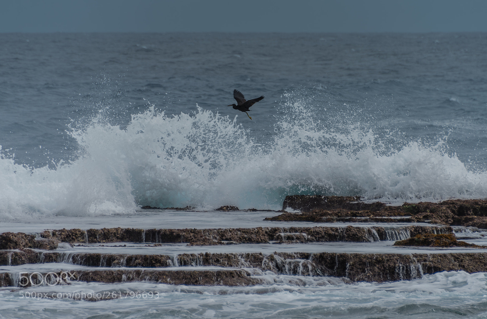 Nikon D810 sample photo. Tonga big waves -5 photography