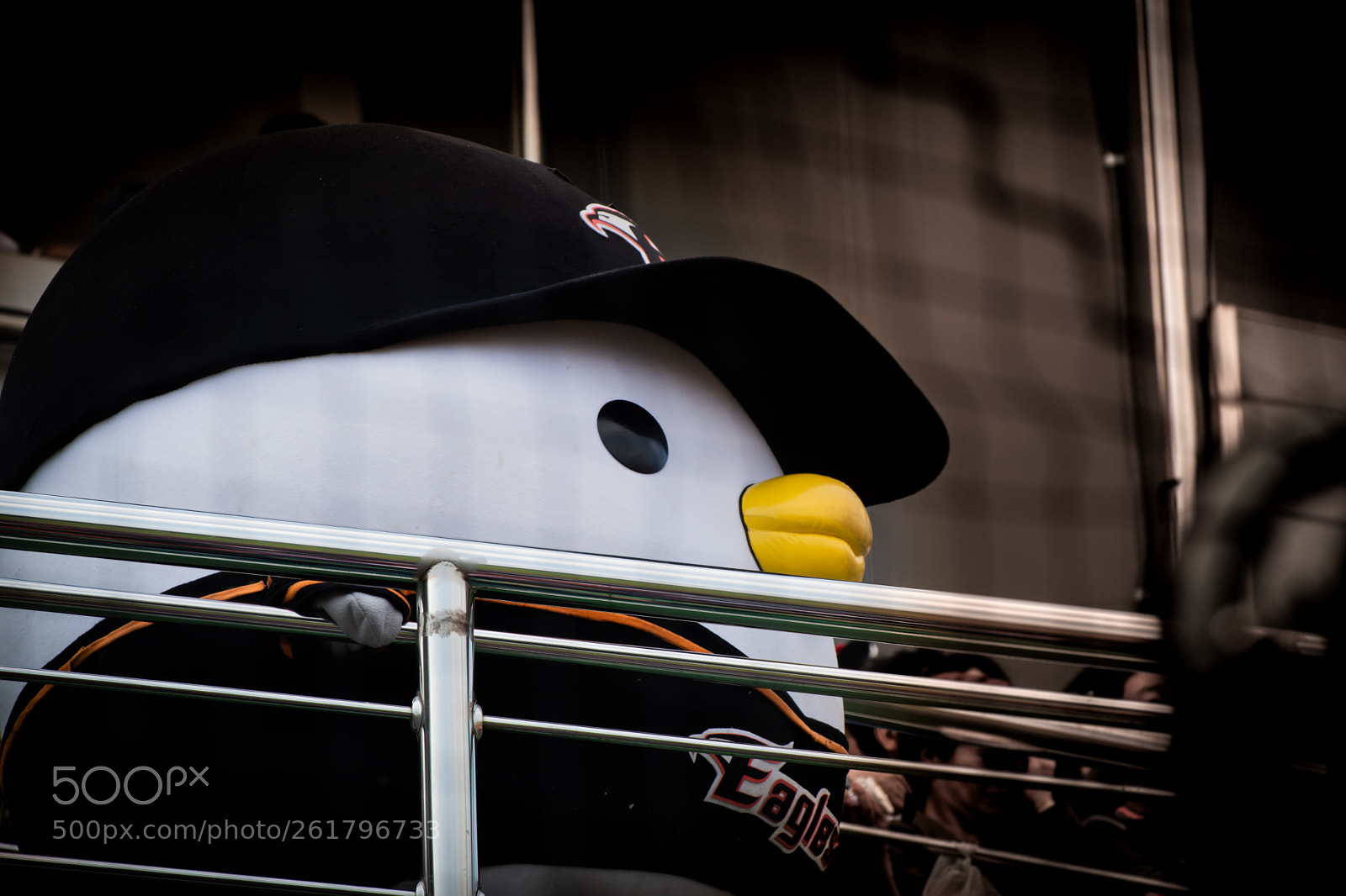 Nikon D7100 sample photo. Soori photography