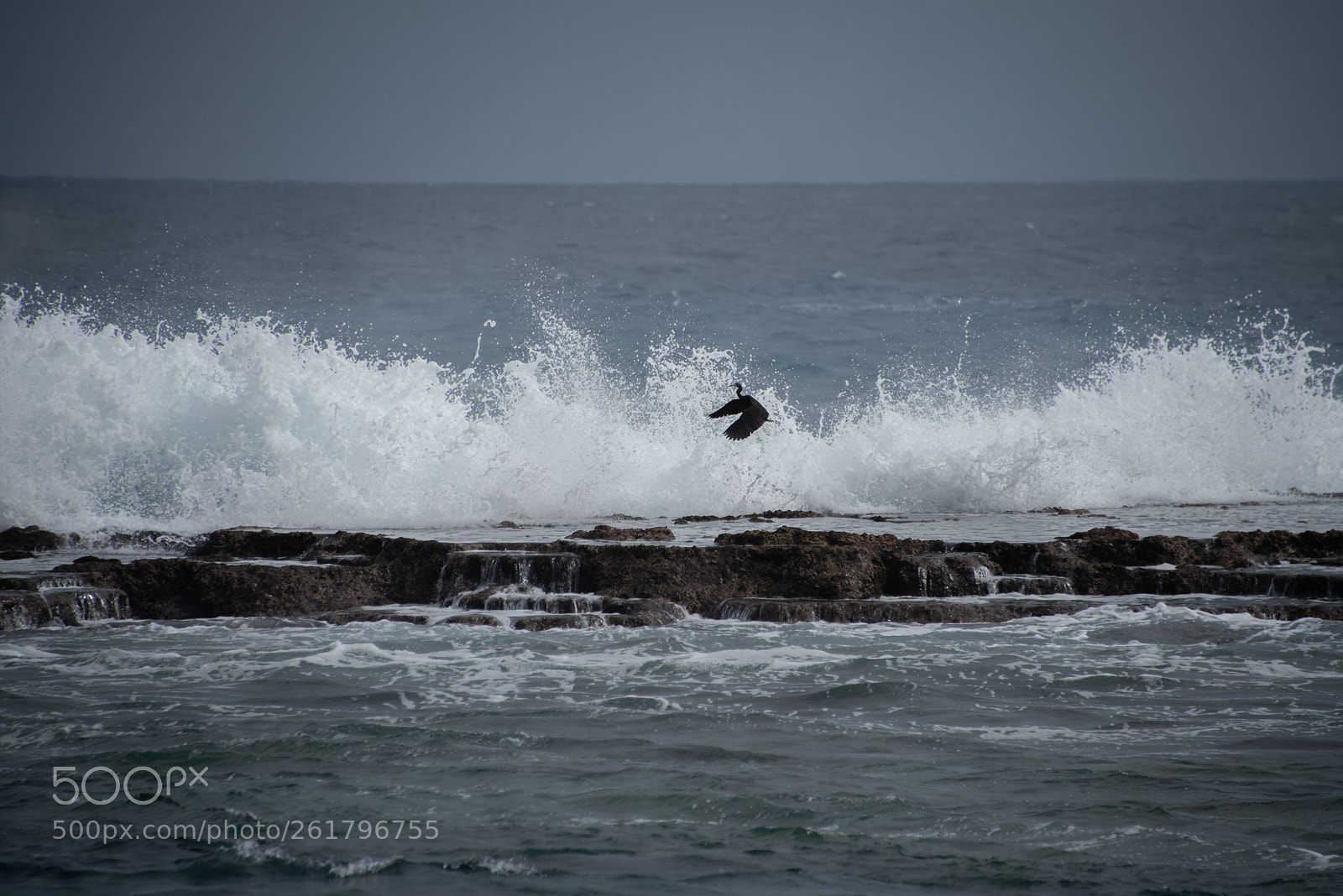 Nikon D810 sample photo. Tonga big waves -8 photography
