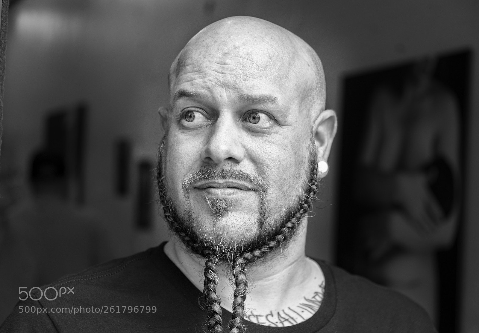 Nikon D610 sample photo. Braided beard photography