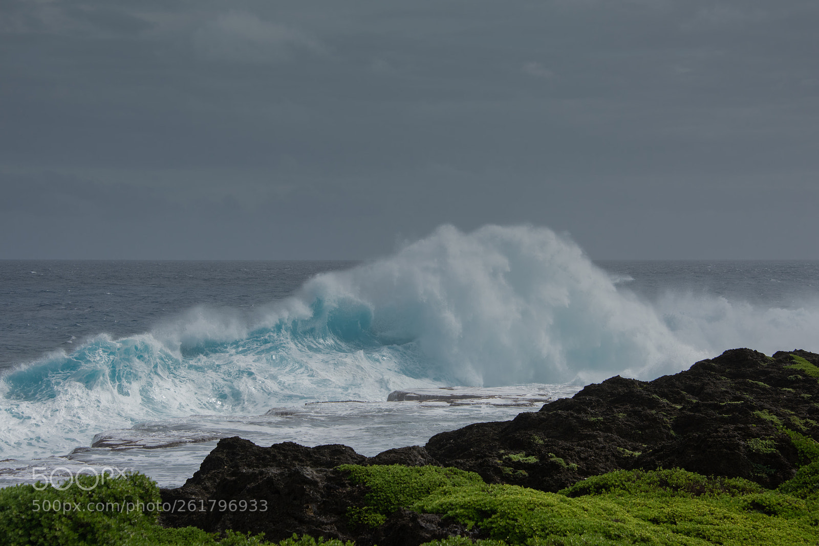 Nikon D810 sample photo. Tonga big waves -12 photography