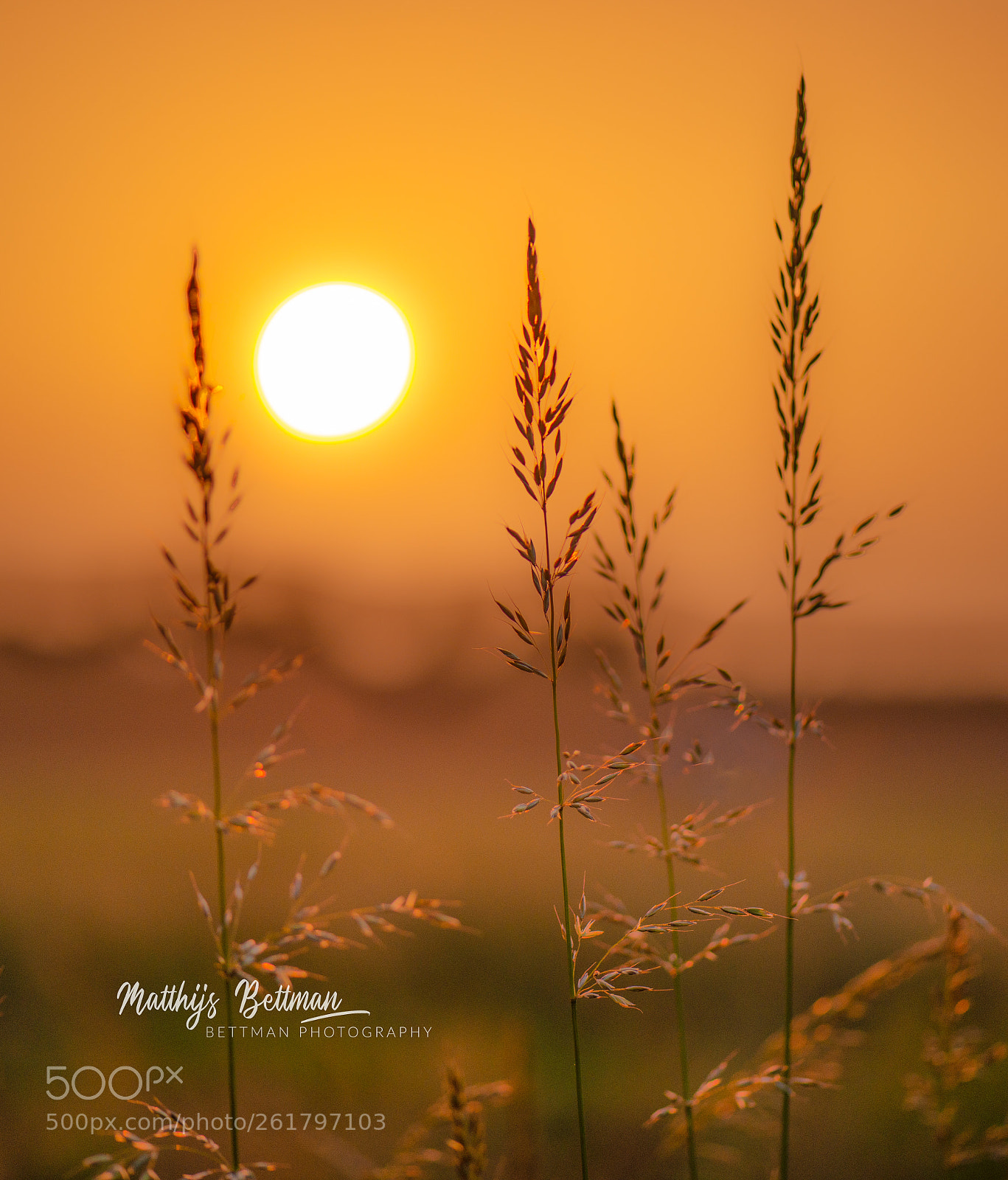 Nikon D800E sample photo. Nederland photography