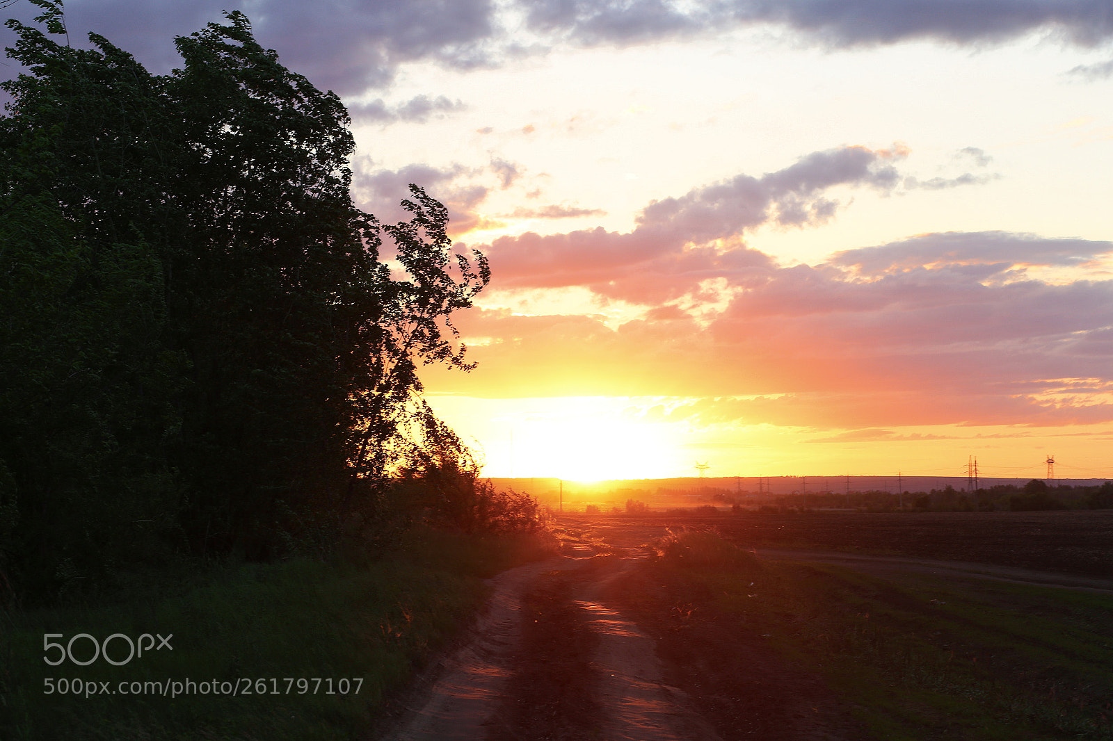 Canon EOS 6D sample photo. Untitled photography