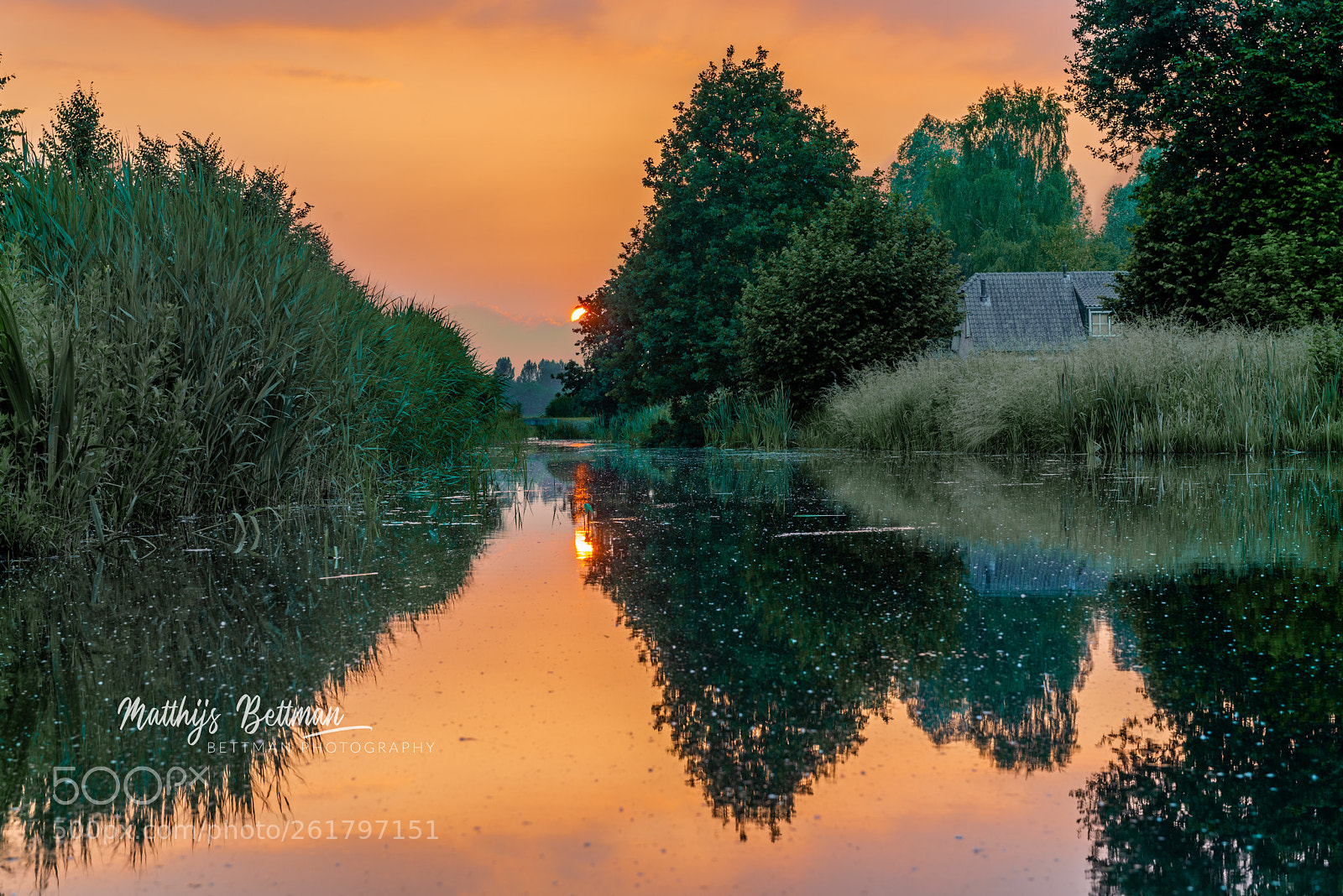 Nikon D800E sample photo. Nederland photography