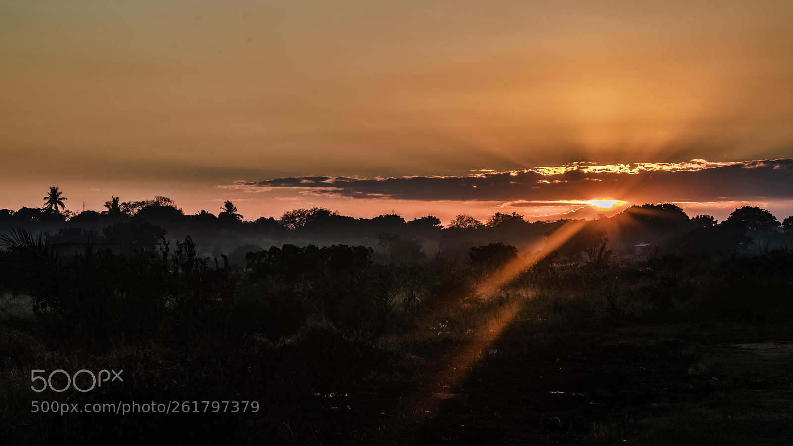 Canon EOS 6D Mark II sample photo. Sunrise on the way photography