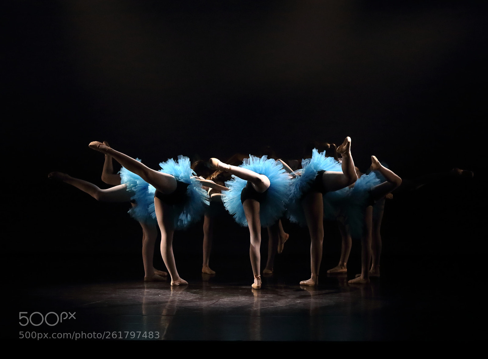 Canon EOS 6D sample photo. Flamants bleus photography